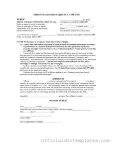 Fill Your Ucc 1 308 Template